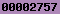 web site hit counter
