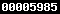 website hit counter