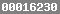 hits counter