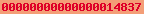 website statistics