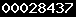 wordpress counter