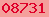blogger hit counter