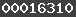 wordpress visitors