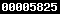 counter for blogspot