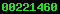 wordpress visitor