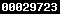 Web Analytics