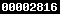 Web Analytics