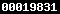 Web Analytics