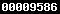 Web Analytics