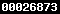 Web Analytics