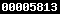 Web Analytics