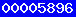 Web Analytics